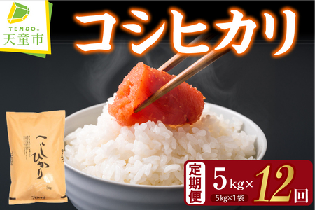 コシヒカリ 定期便 ( 5kg × 1袋 ) 12回 お届け 米 精米 山形 07-30-057