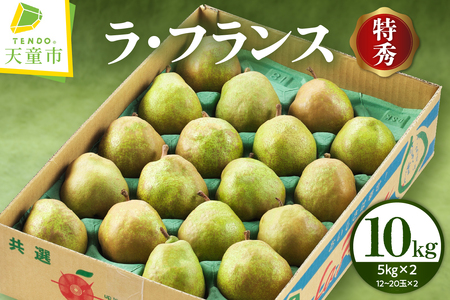 ラ・フランス 10kg フルーツ 果物 山形 08-01-085
