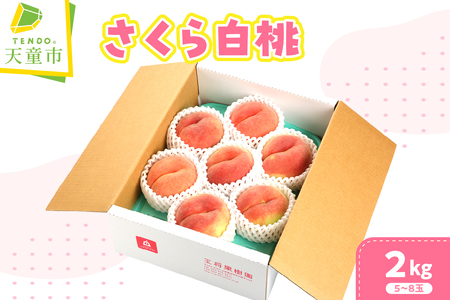 もも ( さくら白桃 ) 2kg フルーツ 果物 山形 08-03-004