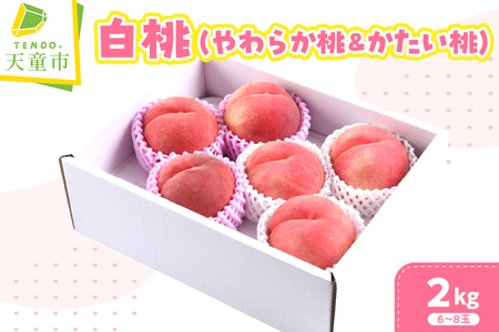 やわらか桃 & かたい桃 セット ( 白桃 ) 2kg フルーツ 果物 山形 08-03-013