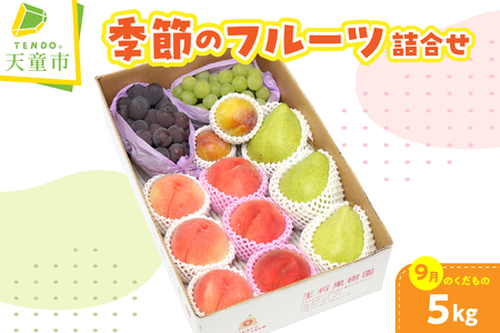 季節 の フルーツ 詰合せ 5kg ( 9月分 ) 果物 山形 08-03-024
