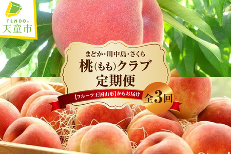 桃 クラブ ( 定期便 ) 全3回 フルーツ 果物 山形 08-03-034