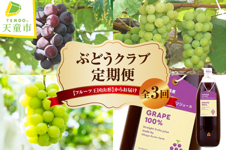 ぶどう クラブ ( 定期便 ) 全3回 フルーツ 果物 山形 08-03-035