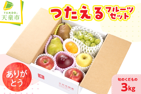 つたえる フルーツ セット 3kg 果物 山形 08-03-095