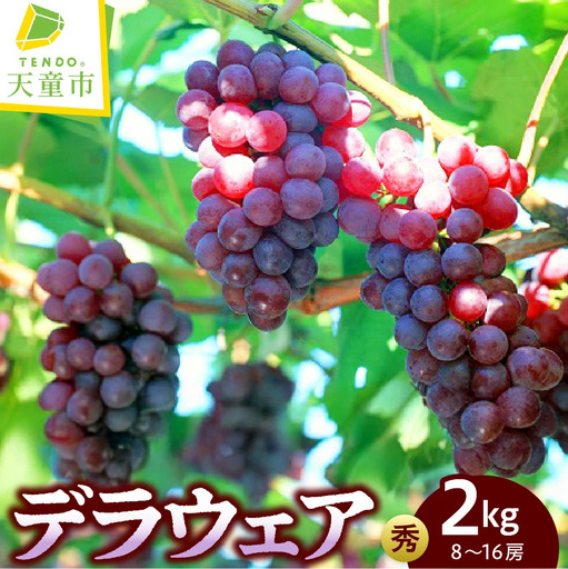 ぶどう デラウエア 約 2kg フルーツ 果物 山形 ブドウ