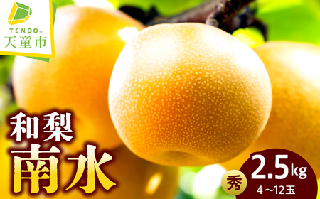 和梨 ( 南水 ) 約 2.5kg フルーツ 果物 山形 08-05-010