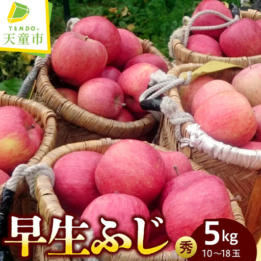 りんご ( 早生ふじ ) 約 5kg フルーツ 果物 山形 08-05-013