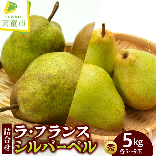 ラ・フランス & シルバーベル 詰合せ 約 5kg フルーツ 果物 山形 08-05-021