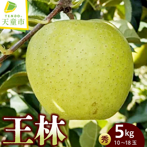 りんご ( 王林 ) 約 5kg フルーツ 果物 山形 08-05-022