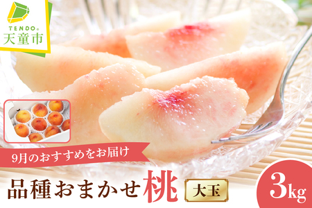 もも ( 9月 おすすめ の 桃 ) 大玉 約 3kg フルーツ 果物 山形 08-06-003