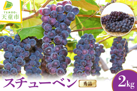 ぶどう ( スチューベン ) 2kg フルーツ 果物 山形 08-06-006