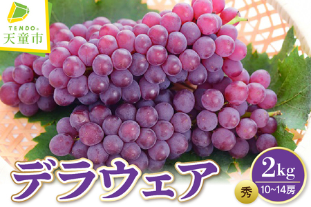 ぶどう ( デラウェア ) 2kg フルーツ 果物 山形 08-08-006