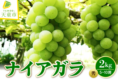 ぶどう ( ナイアガラ ) 2kg フルーツ 果物 山形 08-08-007