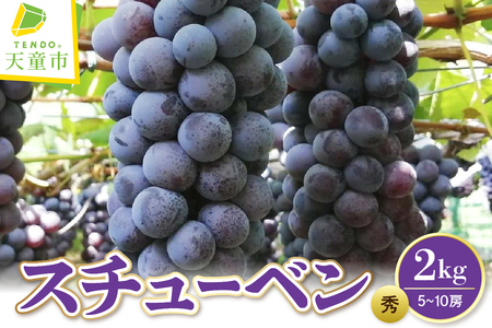 ぶどう ( スチューベン ) 2kg フルーツ 果物 山形 08-08-008