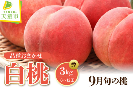 もも ( 9月 品種 おまかせ 白桃 ) 3kg フルーツ 果物 山形 08-08-009