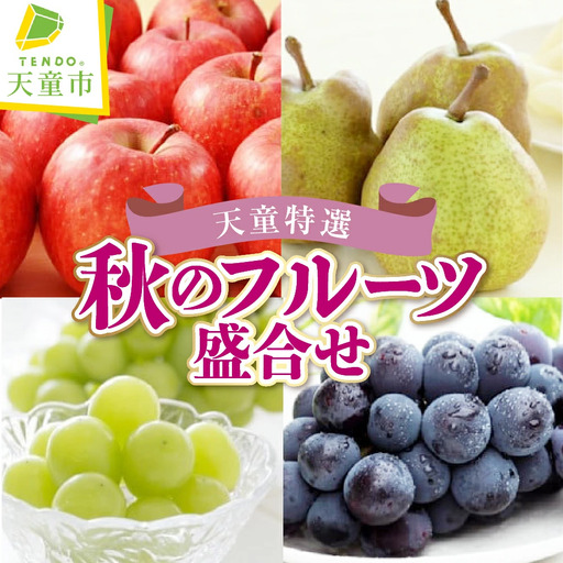 天童 特選 秋 の フルーツ 盛合せ 果物 山形 フルーツ