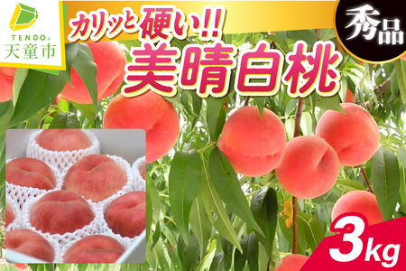 硬い !! もも ( 美晴白桃 ) 3kgフルーツ 果物 山形 08-10-020