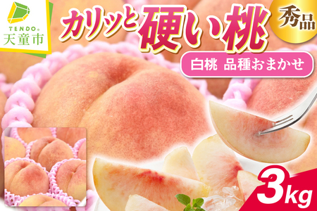 硬い桃 白桃 ( 品種 おまかせ ) 3kg フルーツ 果物 山形 08-10-022