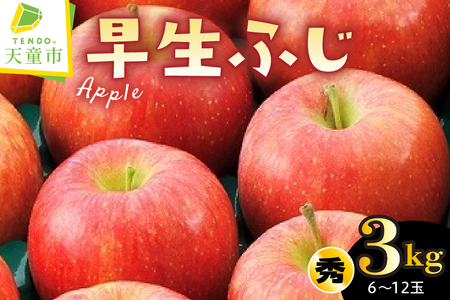 りんご ( 早生ふじ ) 3kg フルーツ 果物 山形 08-01-038