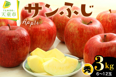 りんご ( サンふじ ) 3kg フルーツ 果物 山形 08-01-039