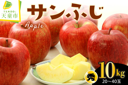 りんご ( サンふじ ) 10kg フルーツ 果物 山形 08-01-101