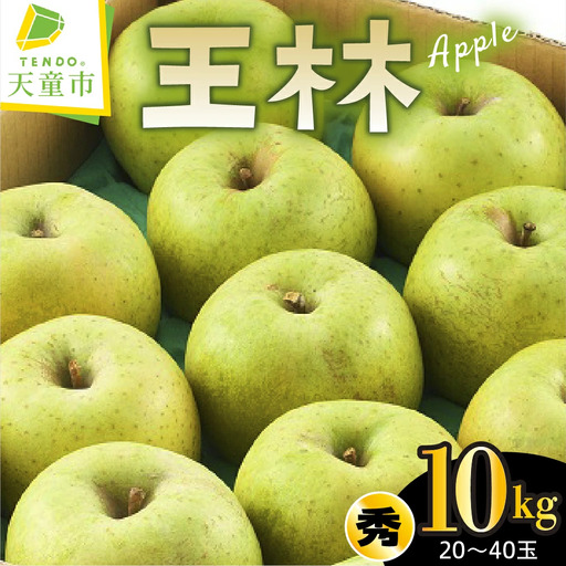 りんご 王林 10kg フルーツ 果物 山形 リンゴ