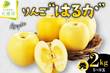 りんご ( はるか ) 2kg フルーツ 果物 山形 08-01-063