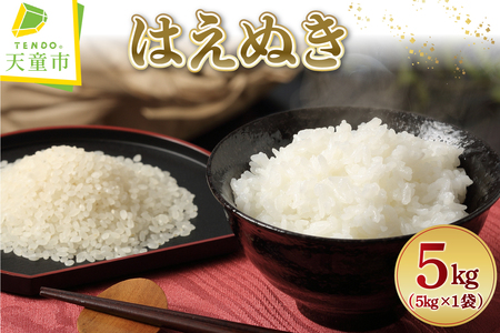 [2026年6月上旬発送]令和7年産 はえぬき 5kg 米 精米 山形 天童 08-01-201-06A