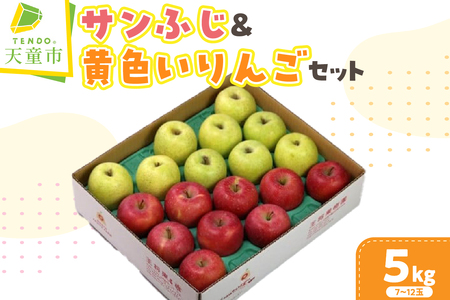 サンふじ & 黄色い りんごセット (シナノゴールドまたは王林) 5kg フルーツ 果物 山形 08-03-085