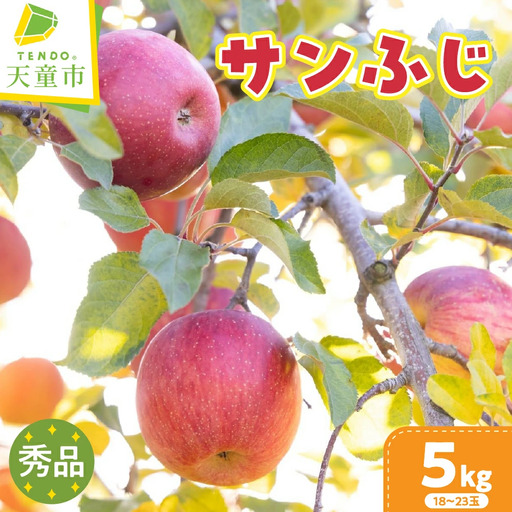 りんご サンふじ 5kg フルーツ 果物 リンゴ