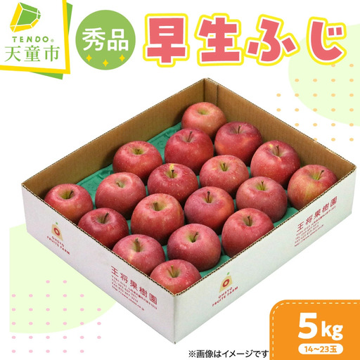 りんご 早生ふじ 5kg フルーツ 果物 山形 リンゴ
