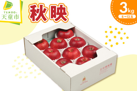 りんご ( 秋映 ) 3kg フルーツ 果物 山形 08-03-077