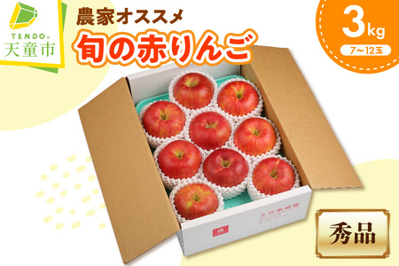 農家オススメ 旬の赤 りんご 3kg フルーツ 果物 山形 08-03-079