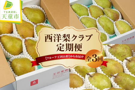 西洋梨 クラブ ( 定期便 ) 全3回 フルーツ 果物 山形 08-03-110