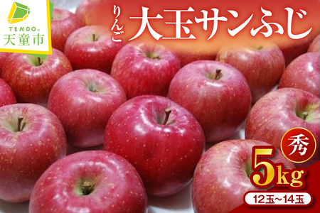 りんご ( 大玉 サンふじ ) 5kg 山形 果物 フルーツ 08-02-024
