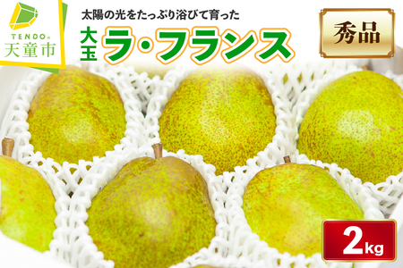 大玉 ラ・フランス 2kg フルーツ 果物 山形 08-06-036