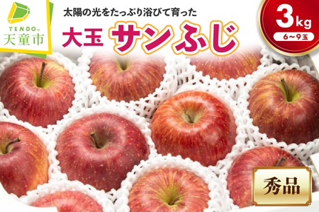 大玉 りんご ( サンふじ ) 3kg フルーツ 果物 山形 08-06-038