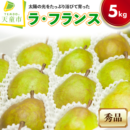 ラ・フランス 5kg フルーツ 果物 山形 洋梨 ラフランス