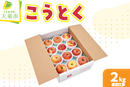 りんご ( こうとく ) 2kg 山形 果物 フルーツ 08-03-048