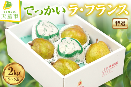 特選 でっかい ラ・フランス 2kg 山形 果物 フルーツ 08-03-050