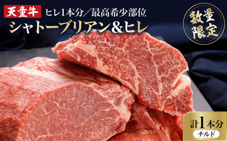 天童牛 ヒレ 1本分 ( シャトーブリアン & ひれ ) チルド 牛肉 山形 08-12-024-1