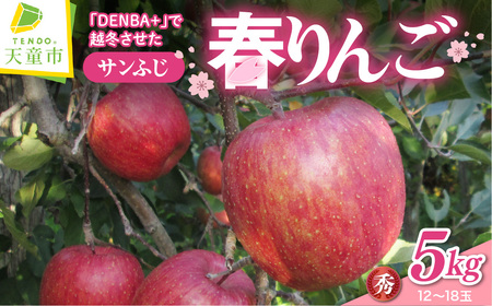鮮度保持 製法 の 春 りんご 5kg 山形 フルーツ 08-40-005