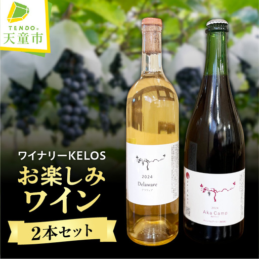 【数量限定】お楽しみ ワイン 2本 セット ワイン 08-43-001