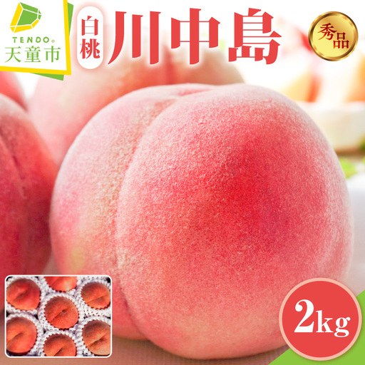 もも ( 川中島白桃 ) 2kg フルーツ 果物 山形 08-45-008