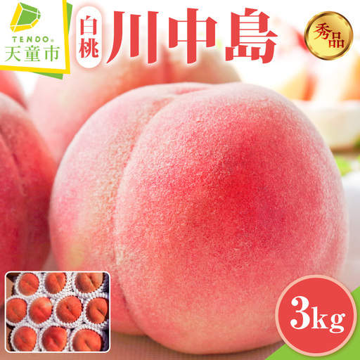 もも ( 川中島白桃 ) 3kg フルーツ 果物 山形 08-45-009