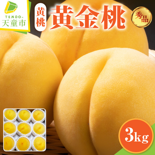 もも ( 黄金桃 ) 3kg フルーツ 果物 山形 08-45-013