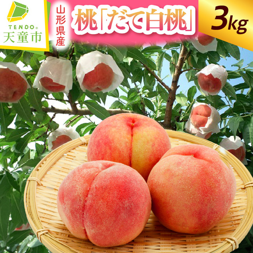 もも ( だて白桃 ) 3kg 桃 伊達白桃 山形 08-07-011