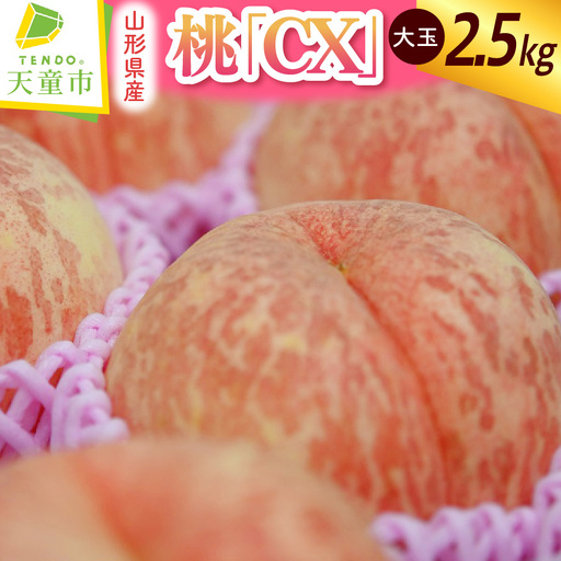 もも ( CX ) 大玉 2.5kg 桃 山形 08-07-008