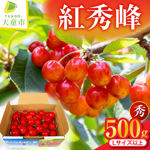 さくらんぼ 紅秀峰 500g 山形 紅秀峰 08-02-002