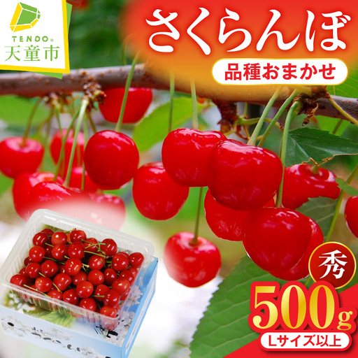 さくらんぼ 品種おまかせ 500g 山形 08-02-036